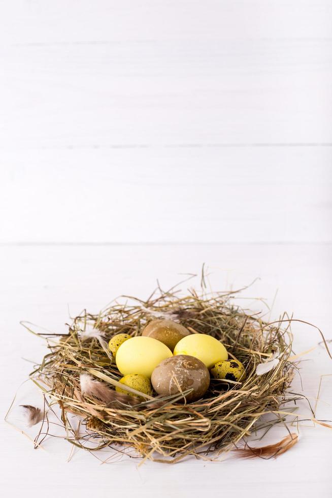 nest with colored easter eggs on white wooden background photo