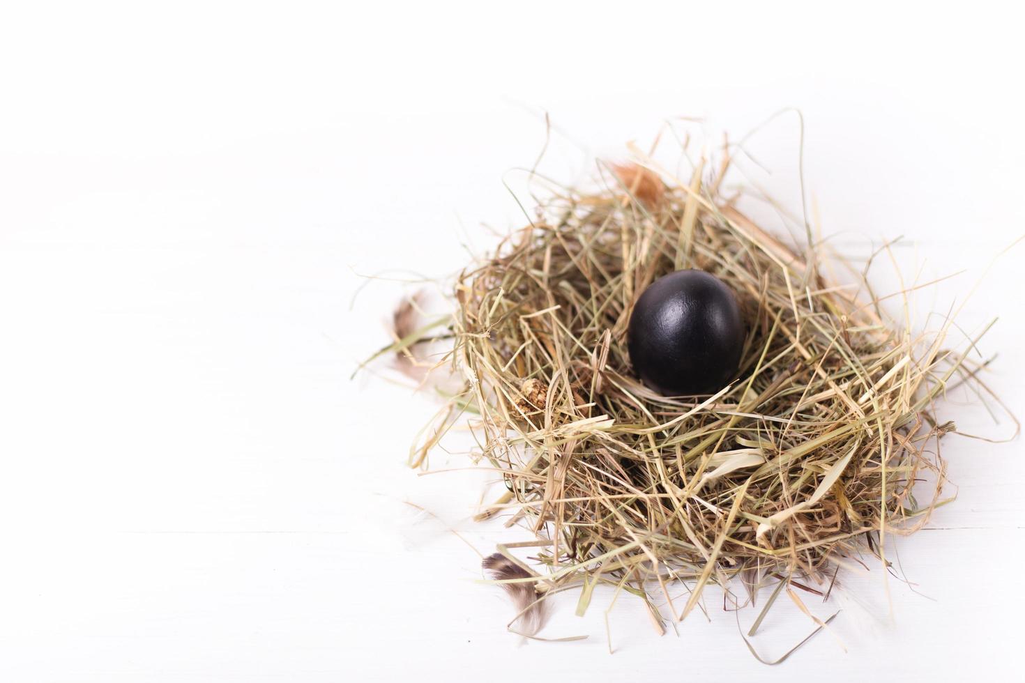 Easter composition with one chicken black egg in a nest of hay on a white wooden background photo