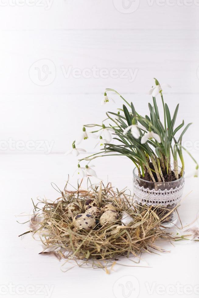Easter composition with snowdrop flowers and a small nest with quail eggs on a white wooden background photo