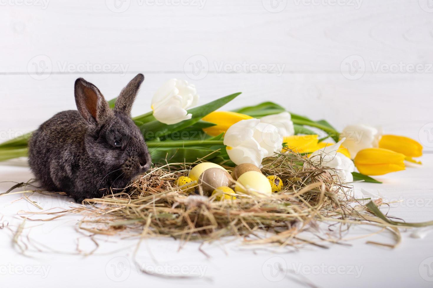 Easter bunny with easter eggs with tulips and a nest of hay. Positive spring easter composition. photo