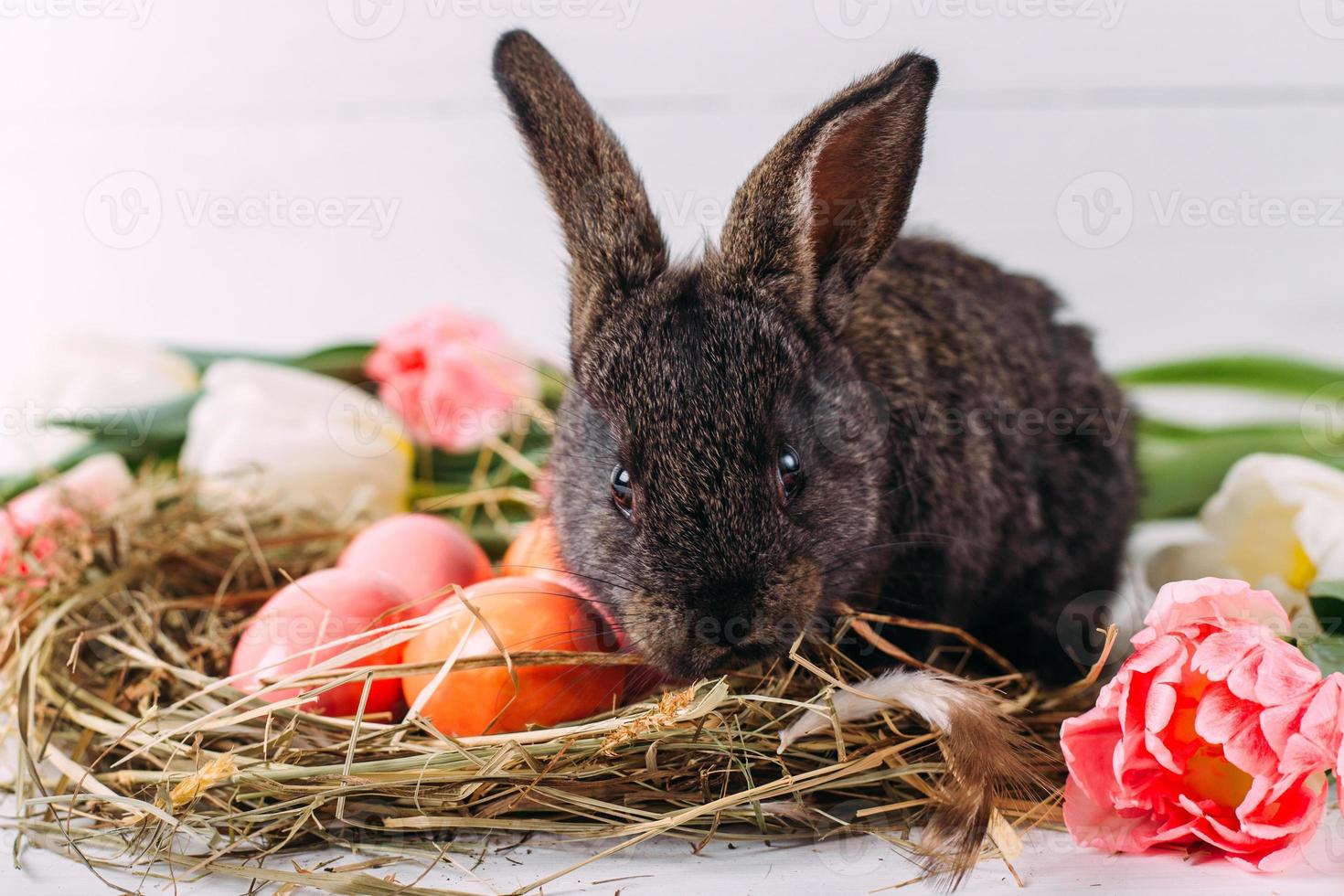 conejito de pascua con huevos de pascua con tulipanes y un nido de heno. composición positiva de pascua de primavera. foto