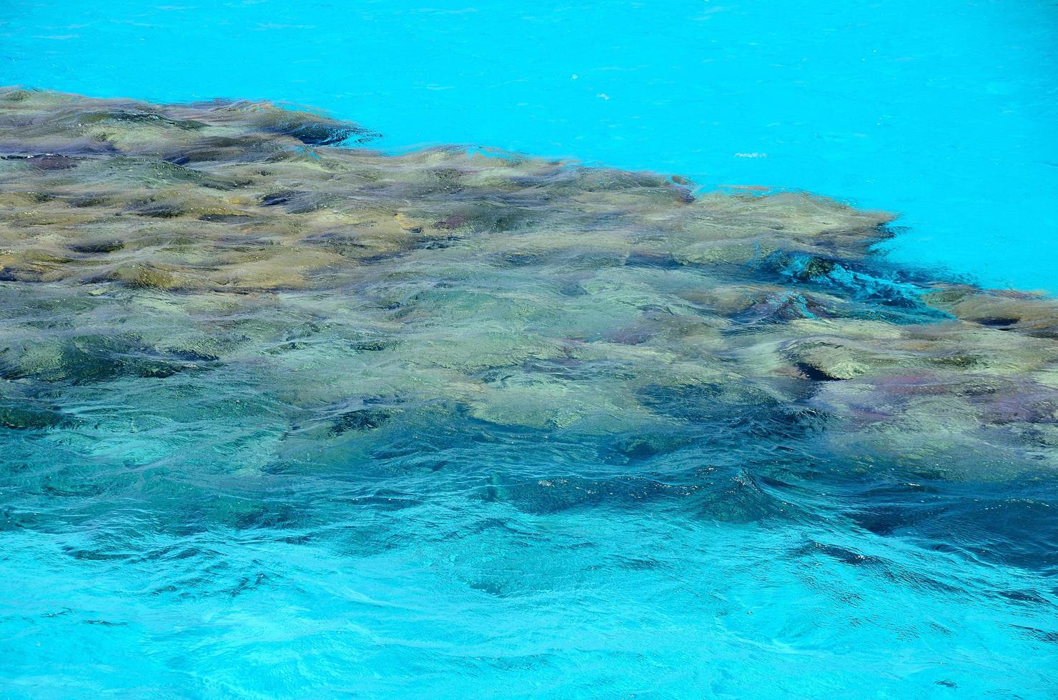 coral reef with turquoise sea water photo