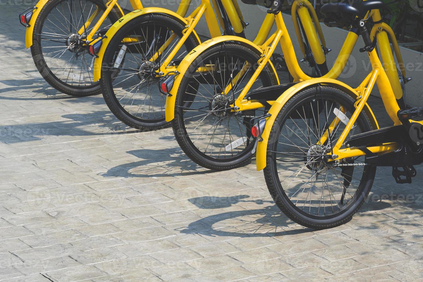 Row of yellow bikes parked on cobblestone pavement in public area, side view with copy space photo