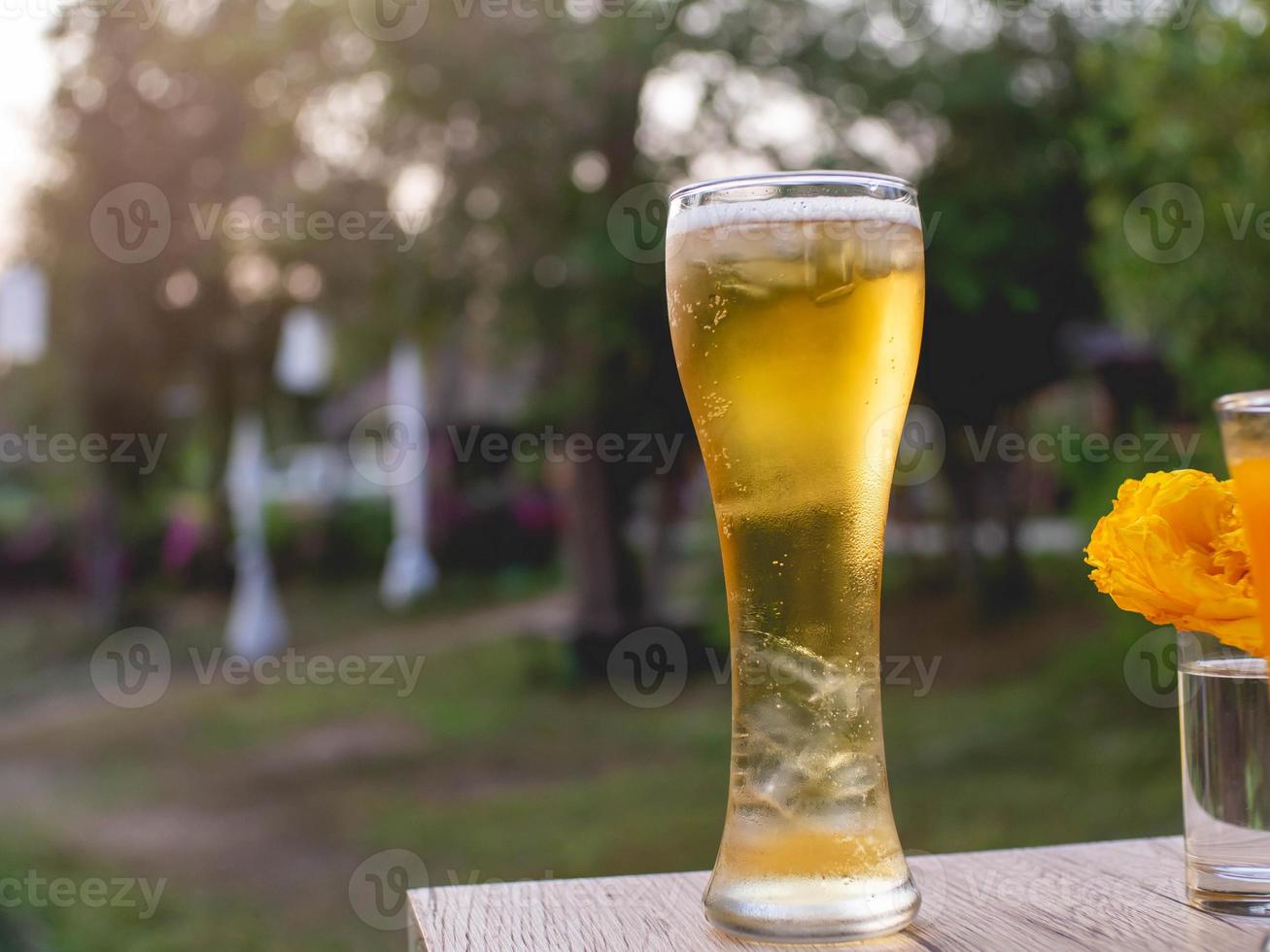 cerveza helada y naturaleza foto