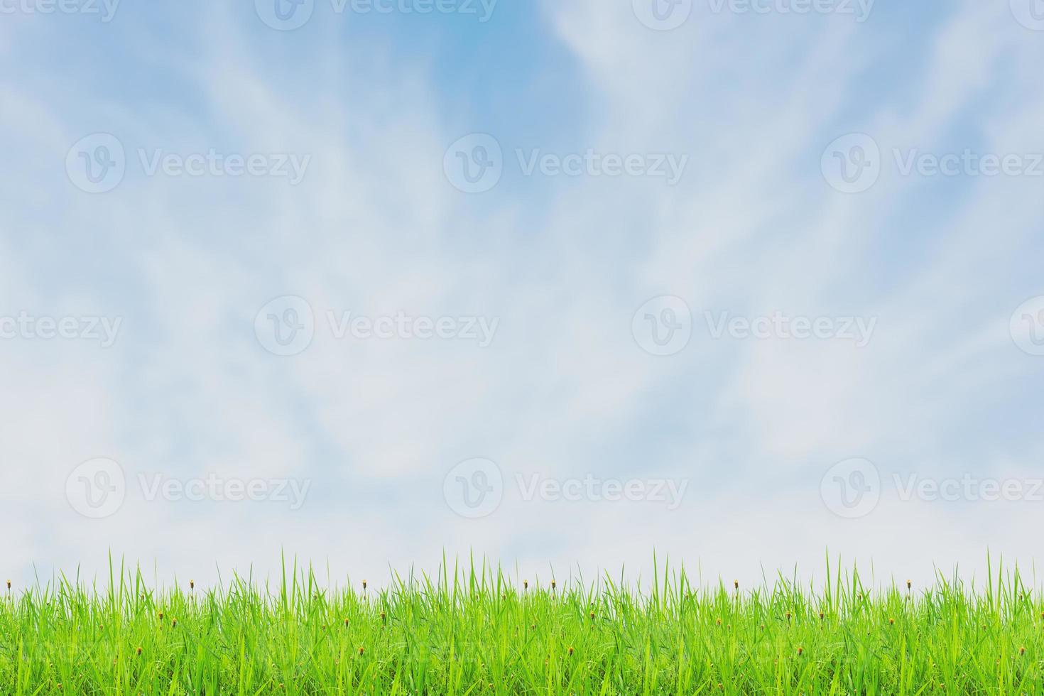 Grass field and sky with bright clouds for the background in the project. photo