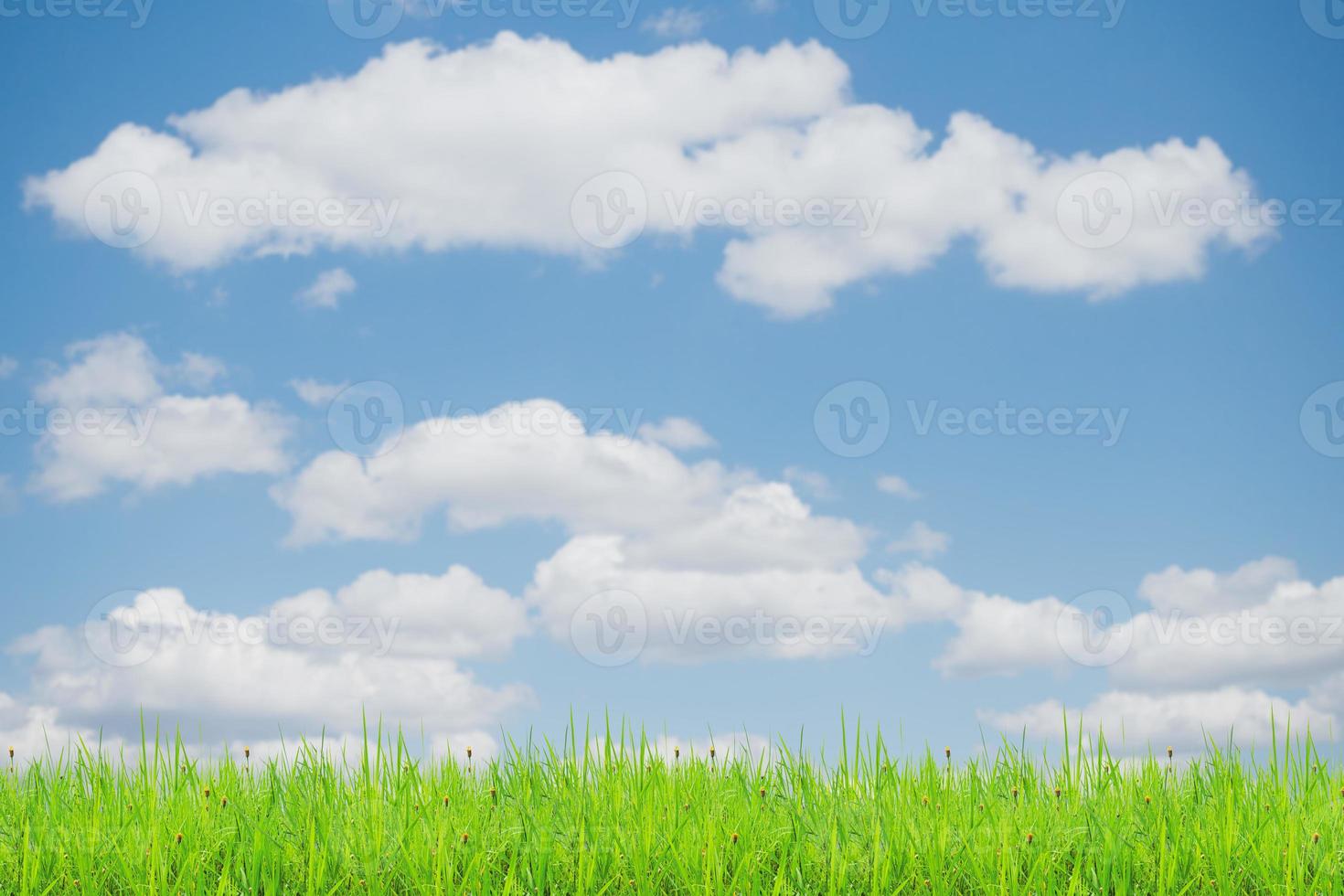 Grass field and sky with bright clouds for the background in the project. photo