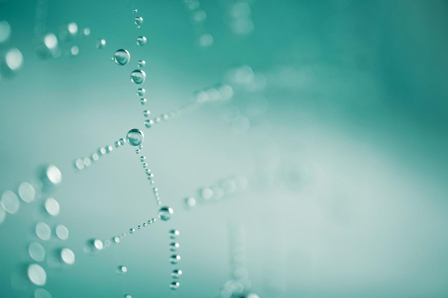 gotas de lluvia en la telaraña en días lluviosos, fondos abstractos foto