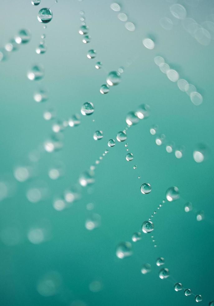 gotas de lluvia en la telaraña en días lluviosos, fondos abstractos foto