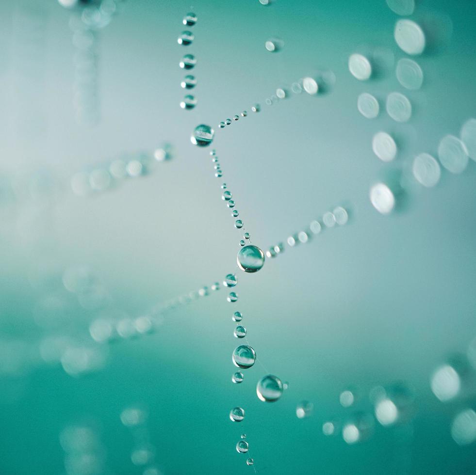 raindrops on the spider web in rainy days, abstract backgrounds photo