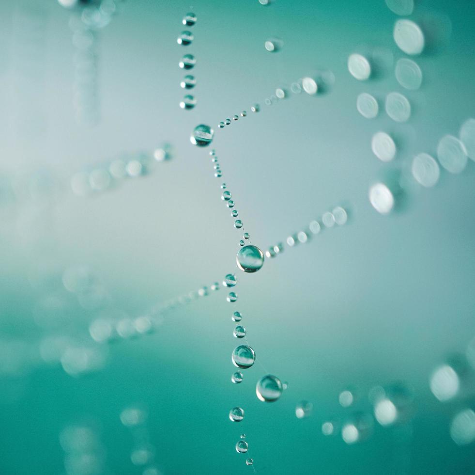 gotas de lluvia en la telaraña en días lluviosos, fondos abstractos foto