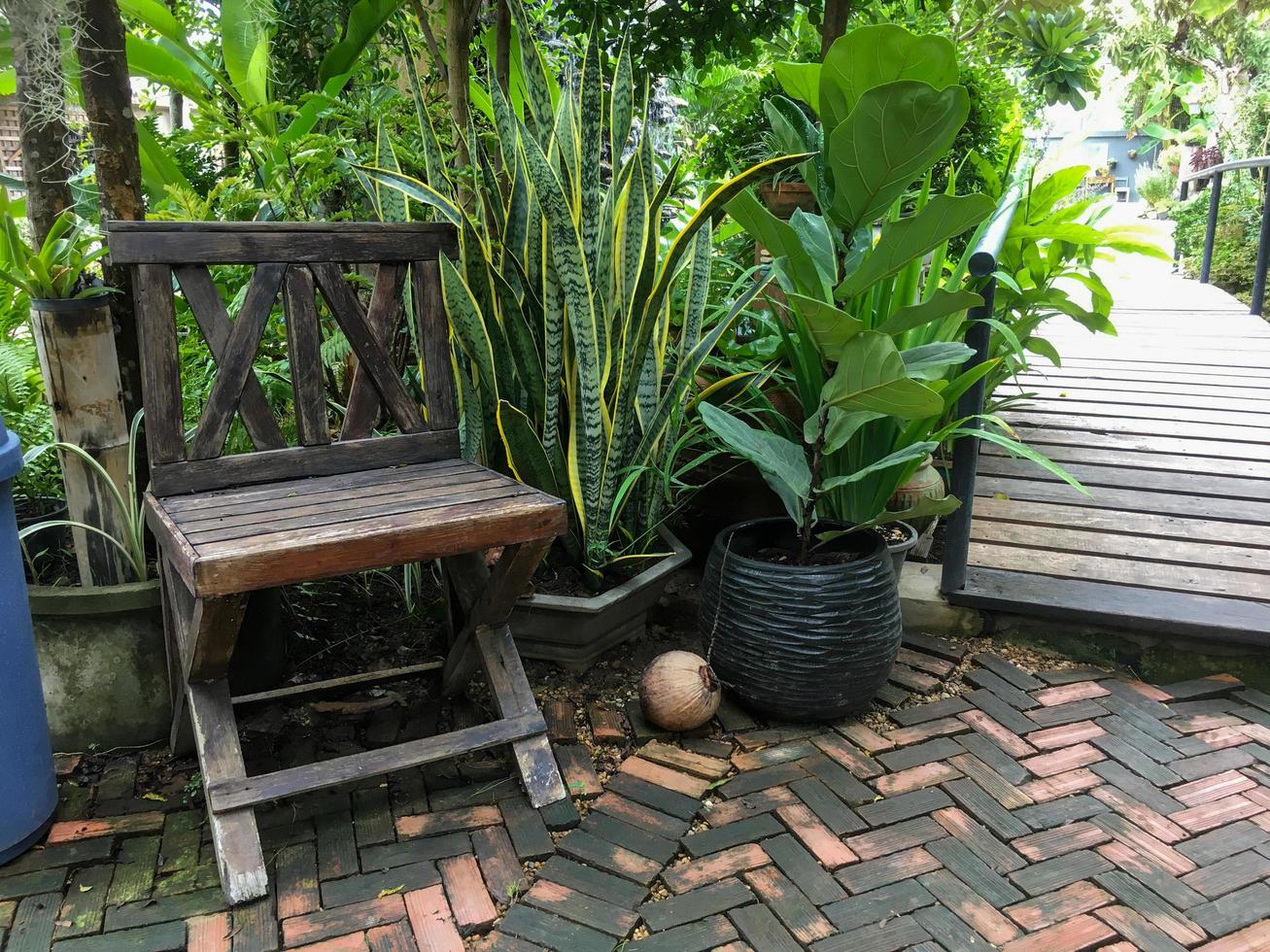 woodn chair and nature photo