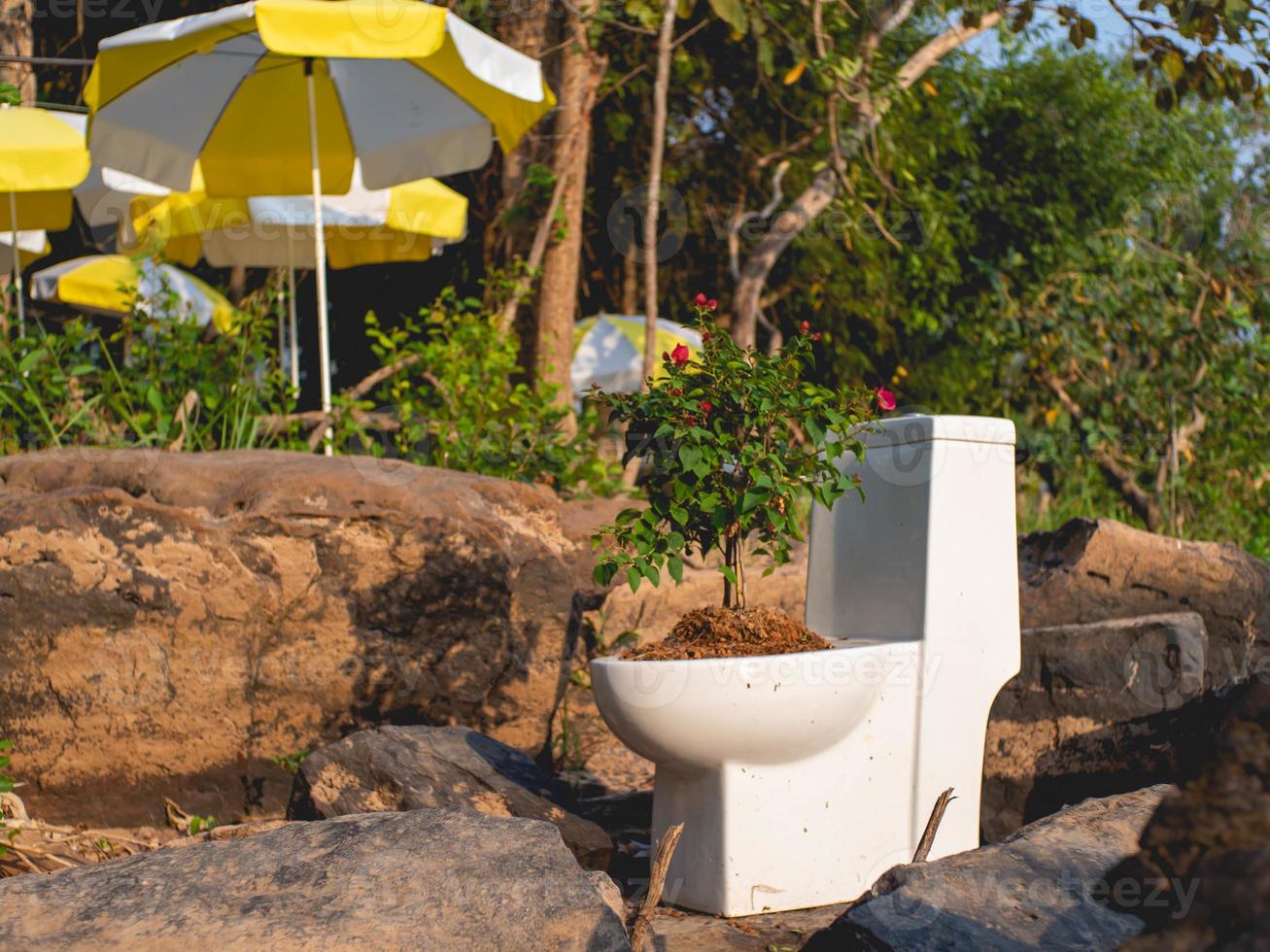 Toilet and pot photo