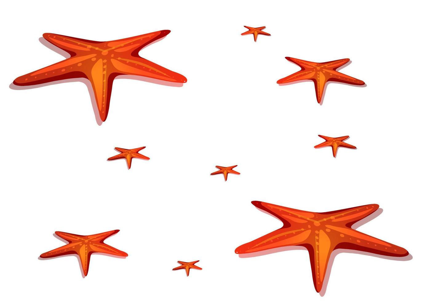 conjunto de estrellas de mar en estilo plano. ilustración vectorial de estrellas de mar aisladas sobre fondo blanco vector