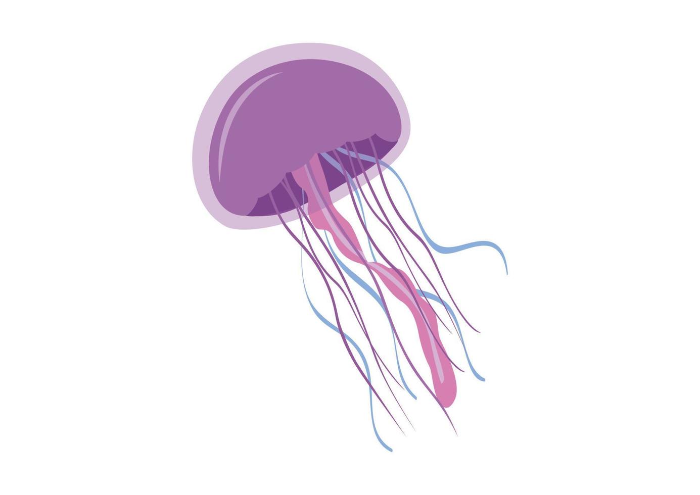 medusas de dibujos animados en estilo plano. ilustración vectorial de medusas aisladas sobre fondo blanco vector