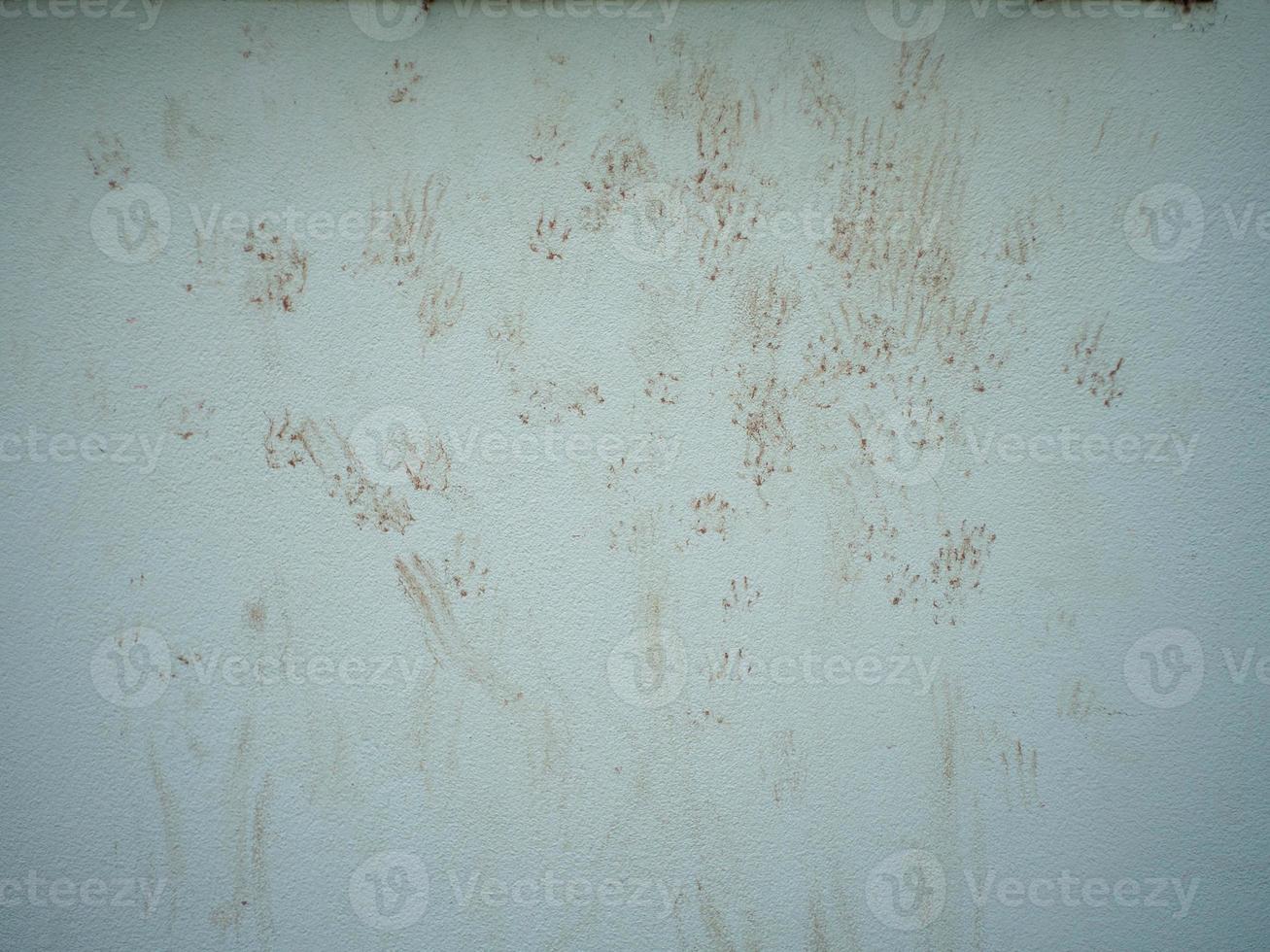 Foot and wall photo