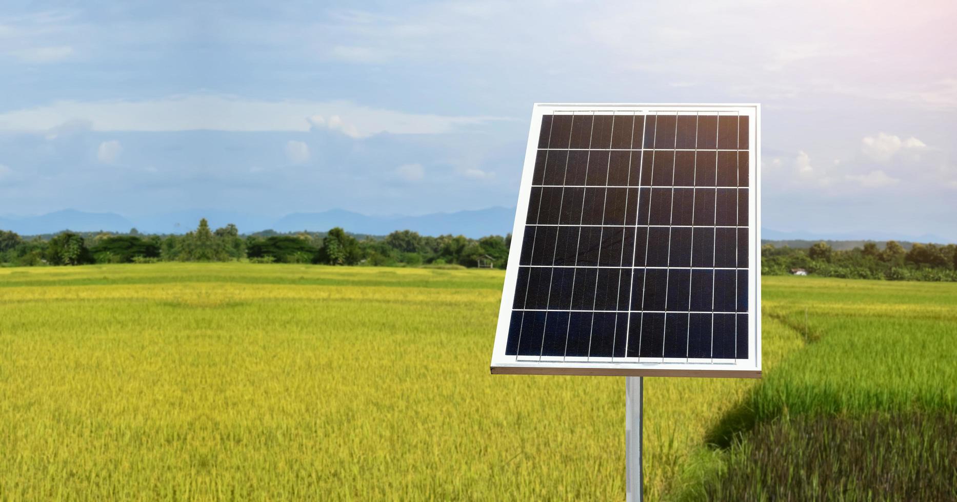 panel fotovoltaico, nueva tecnología para almacenar y utilizar la energía de la naturaleza con la vida humana, la energía sostenible y el concepto de amigo del medio ambiente. foto