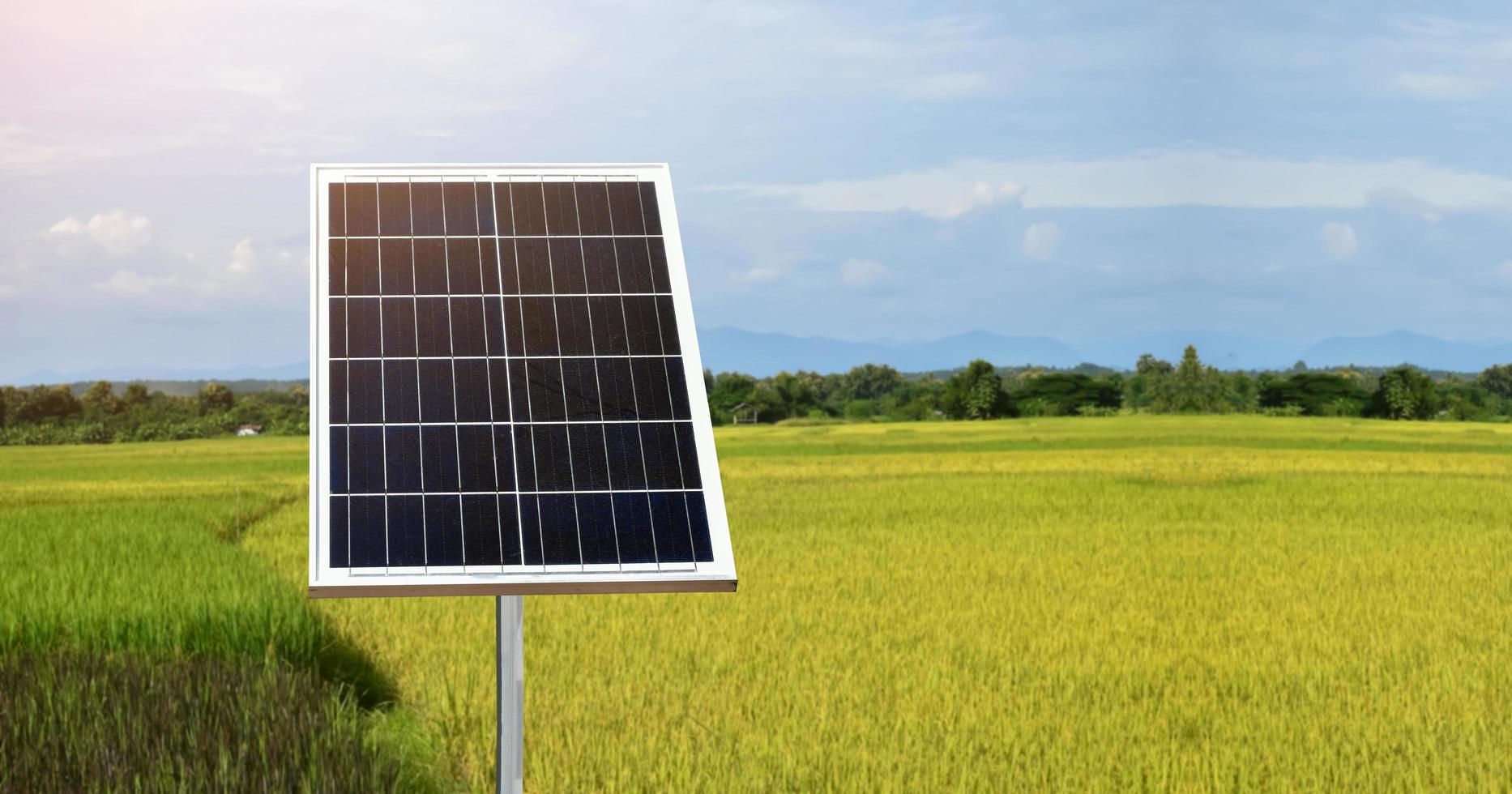 panel fotovoltaico, nueva tecnología para almacenar y utilizar la energía de la naturaleza con la vida humana, la energía sostenible y el concepto de amigo del medio ambiente. foto