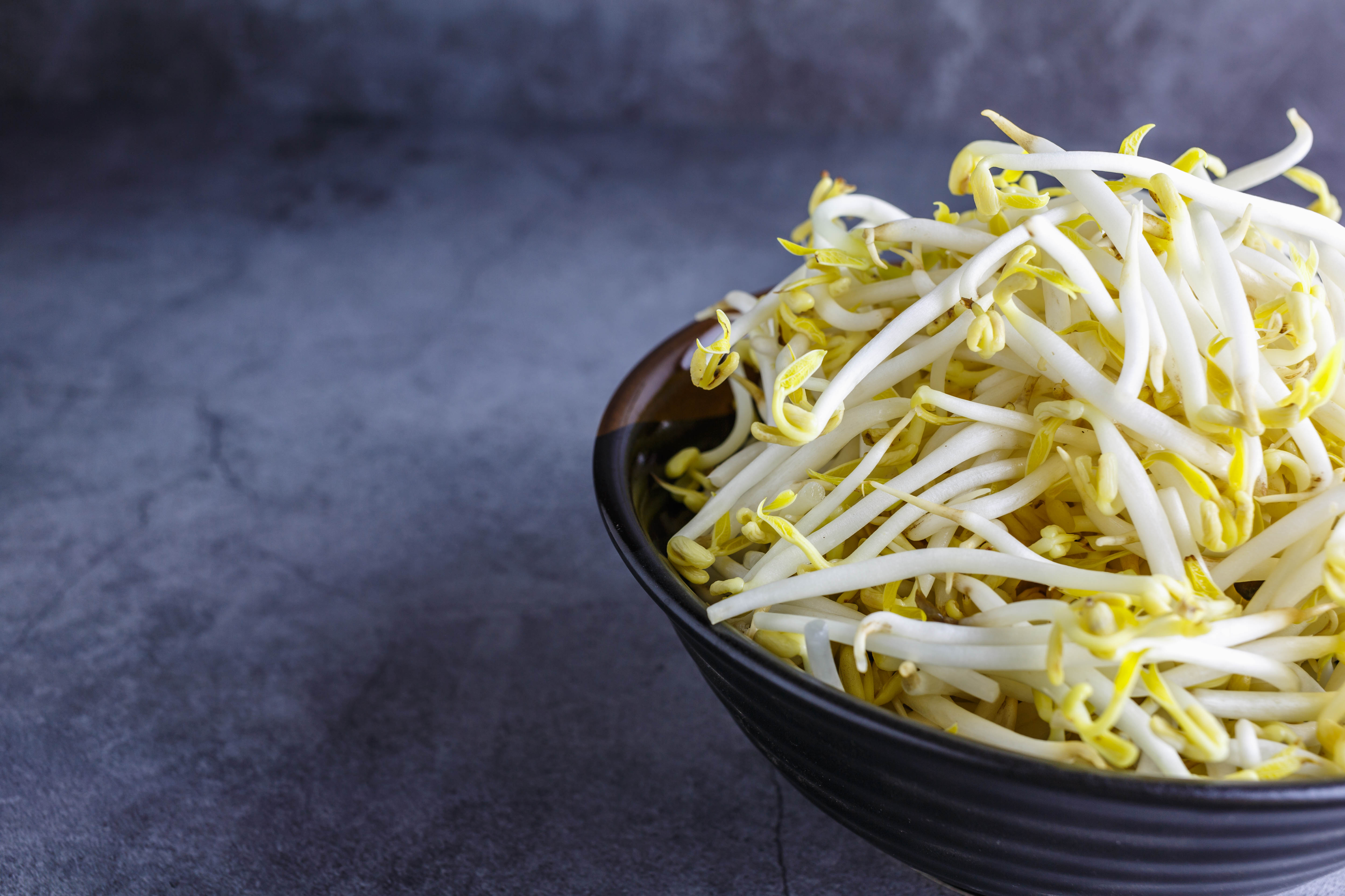 Beansprout Stock Photos, Images and Backgrounds for Free Download