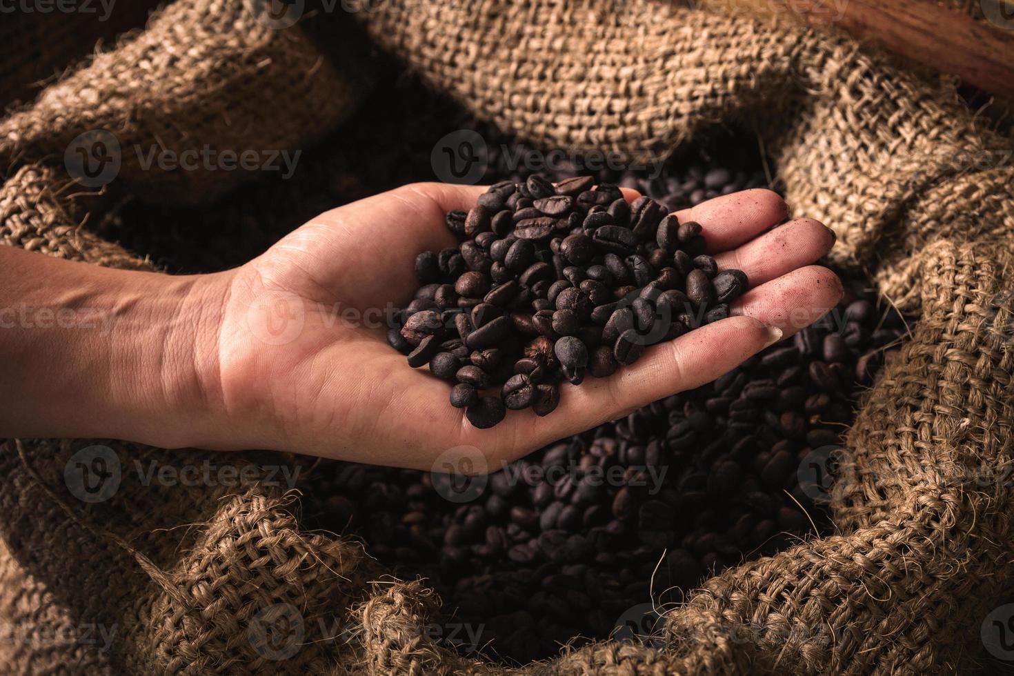 Handful of raw coffee beans in hand on dark background. photo