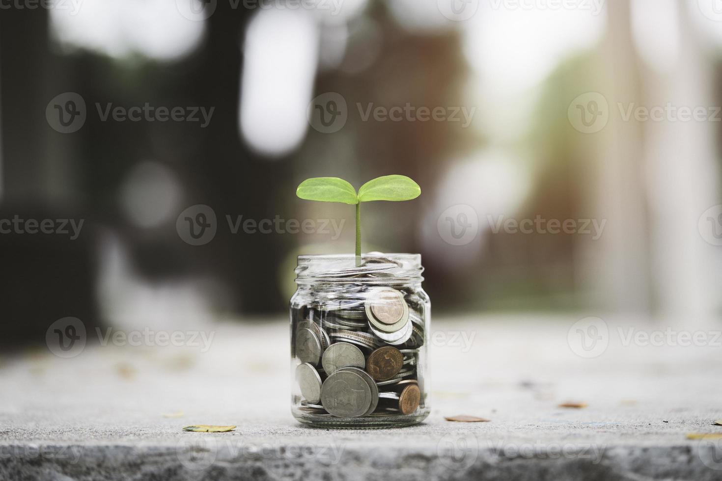 el crecimiento de las plantas a partir del frasco de ahorro para el depósito de ahorro de dinero y el concepto de crecimiento de las ganancias de inversión. foto