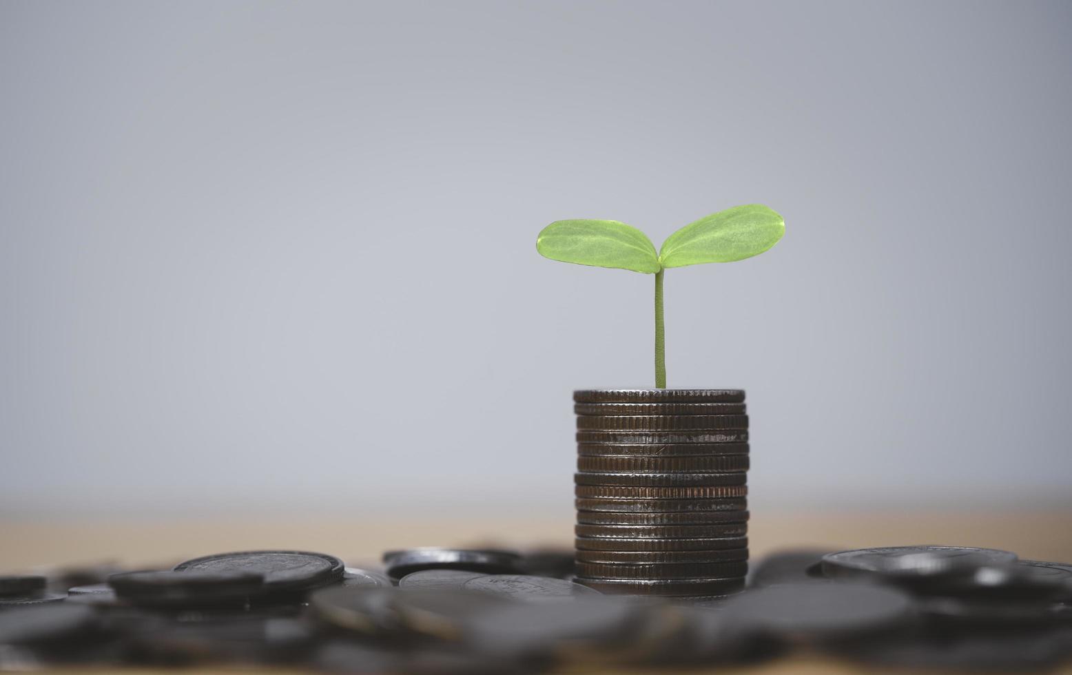 el crecimiento de las plantas a partir del apilamiento de monedas para el depósito de ahorro de dinero y el concepto de crecimiento de las ganancias de inversión. foto