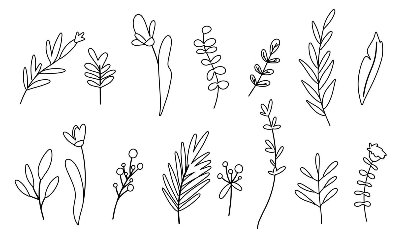 Set of vector flower, herbs and leaf design. Vector illustration. Hand drawn line art.