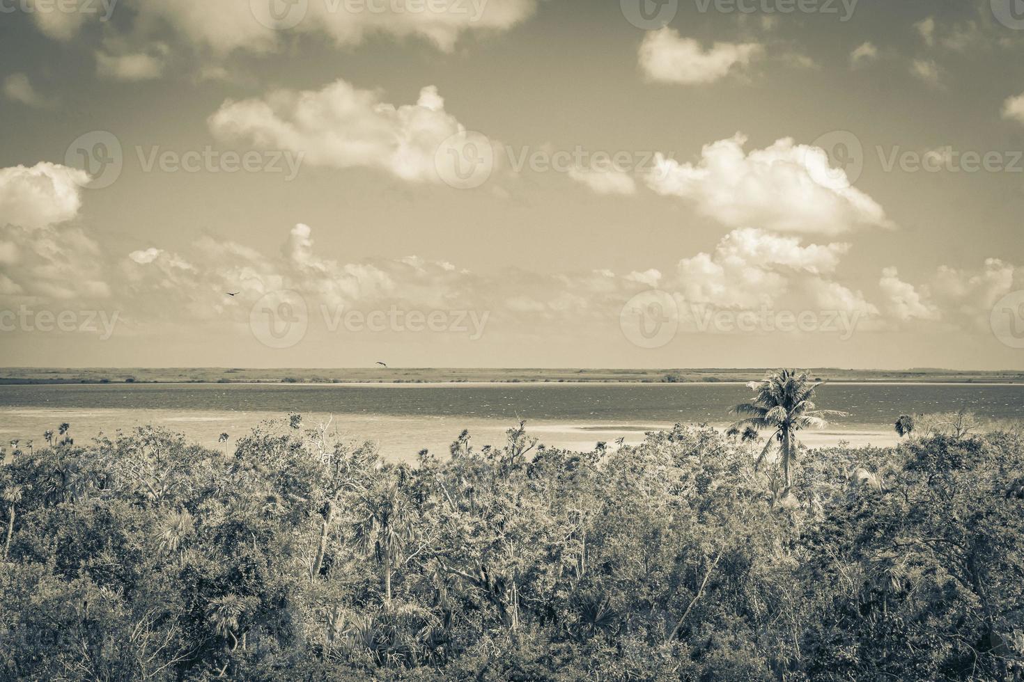 Muyil Lagoon panorama view in tropical jungle of amazing Mexico. photo