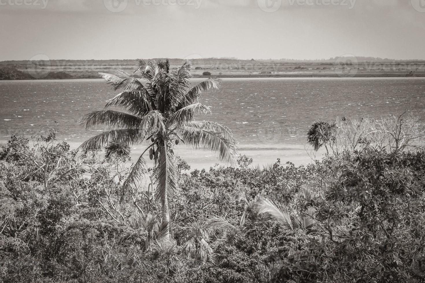 vista panorámica de la laguna muyil en la selva tropical del increíble méxico. foto