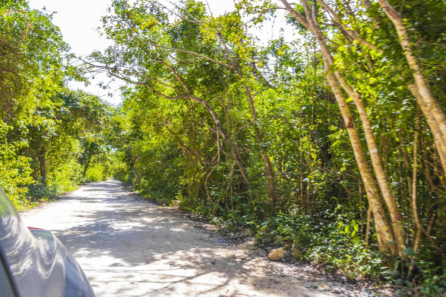 conduciendo por camino de ripio en tulum jungle nature mexico. foto