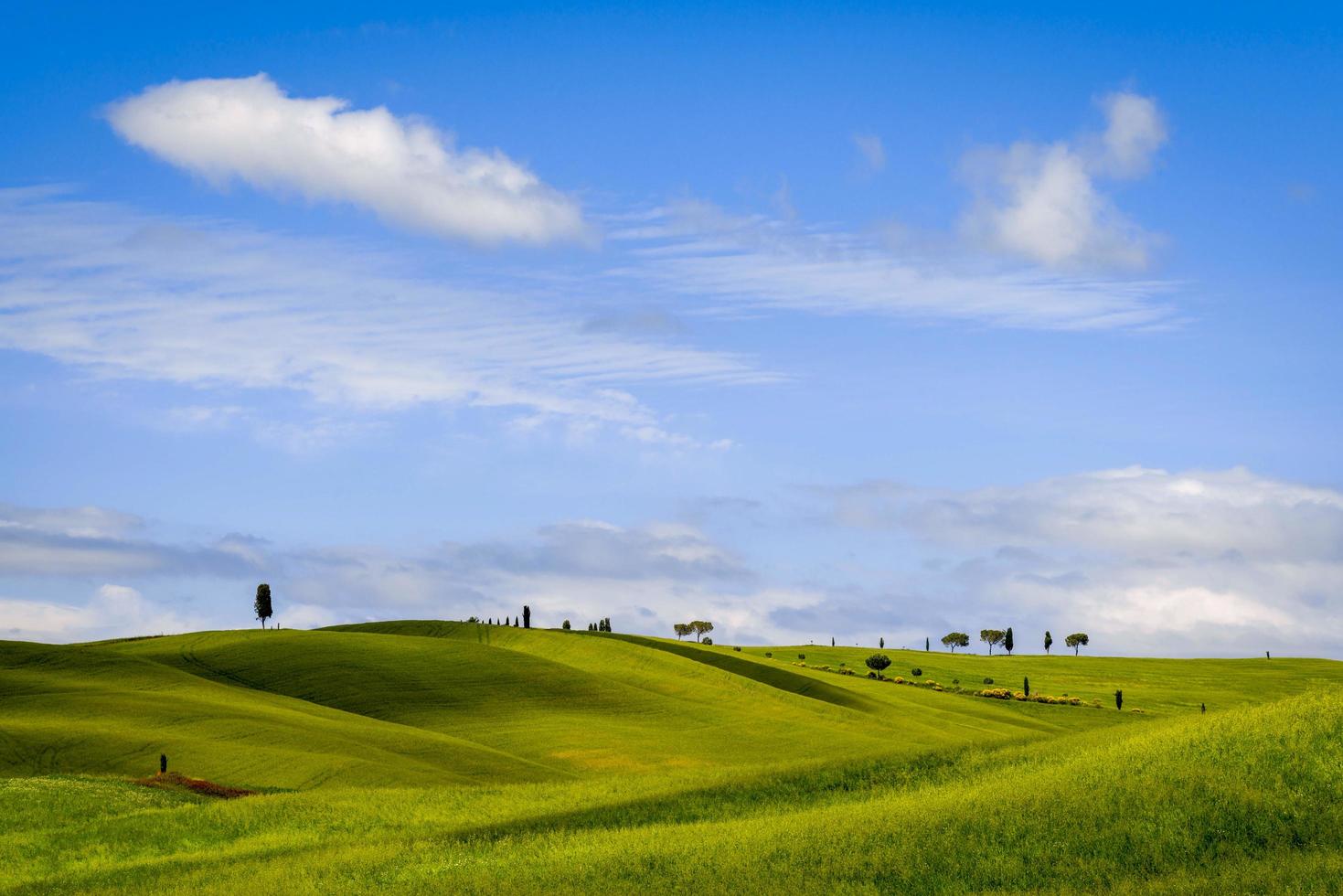 vista de la pintoresca campiña toscana foto