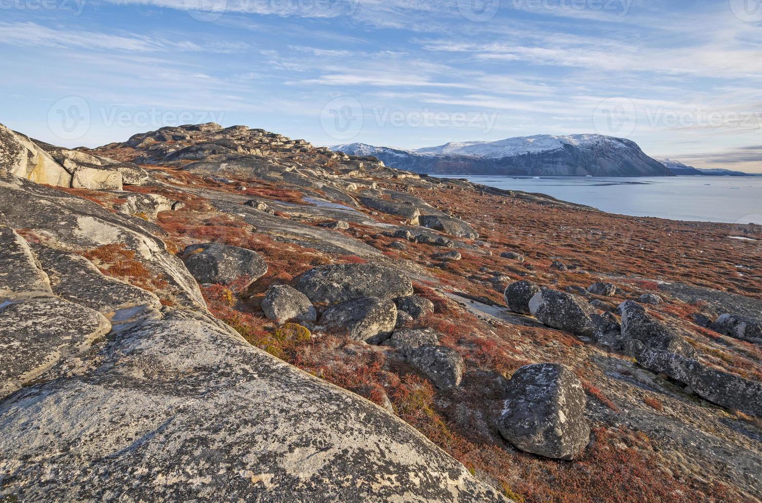 Fall Colors among the Barren Rocks of the High Arctic photo