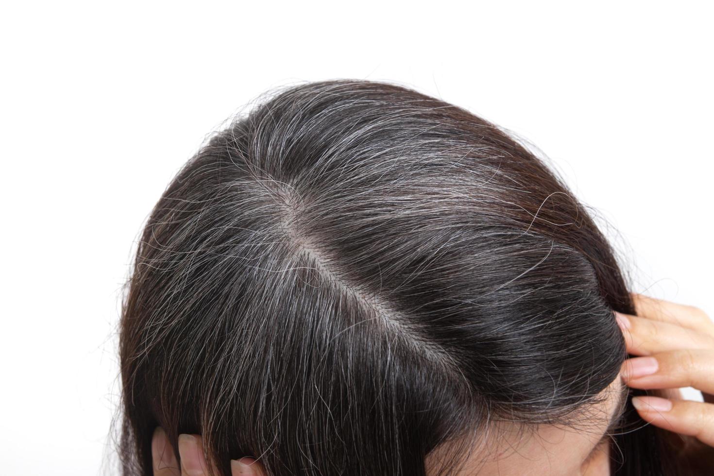 Graying hair on a woman's head on a white background. Close up texture of gray hair. The concept of early gray hair photo