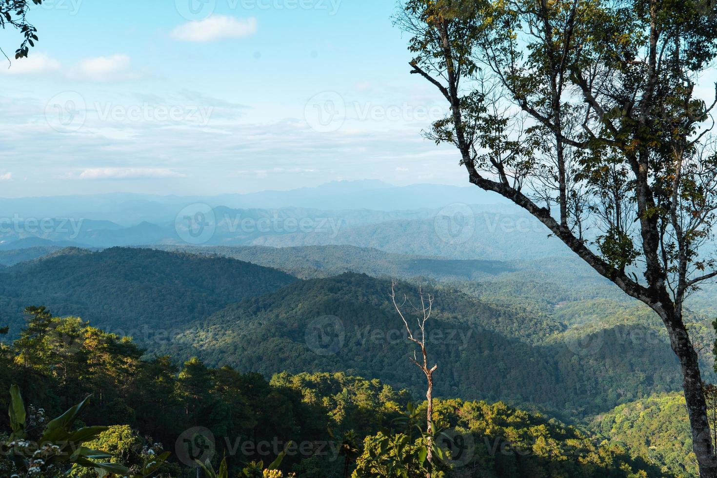 vista de ángulo alto del bosque y las montañas en verano foto