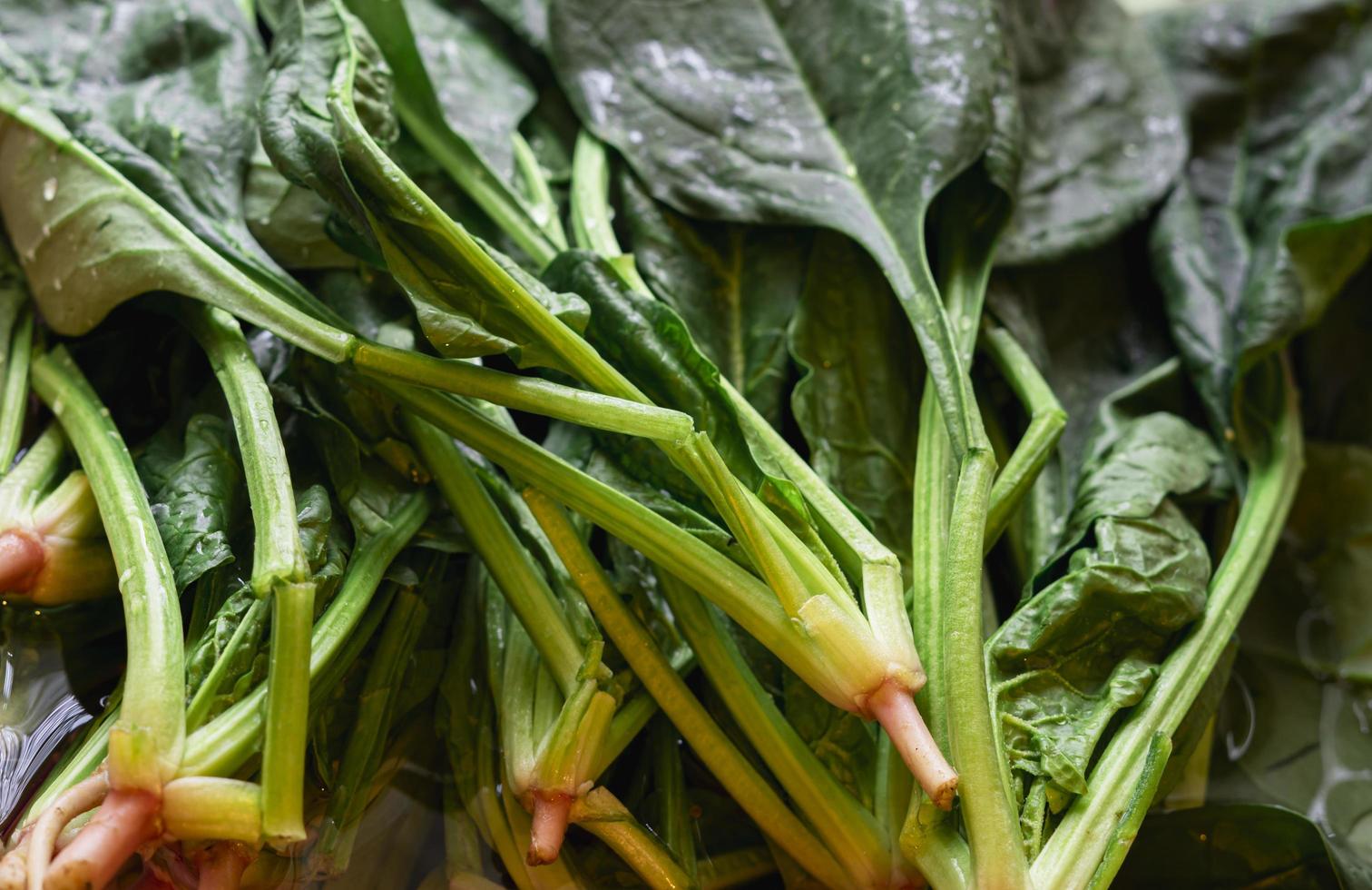 Green bunch of arugula plant vegan food photo