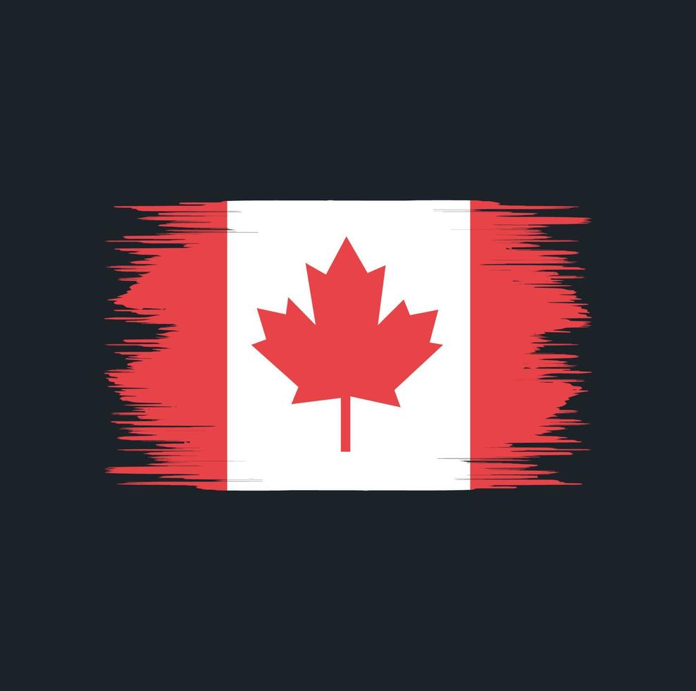 pincel de bandera de canadá vector