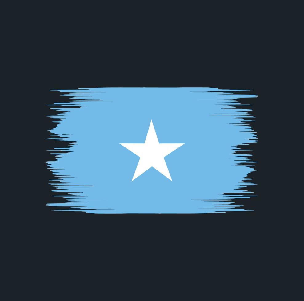 Somalia Flag Brush vector