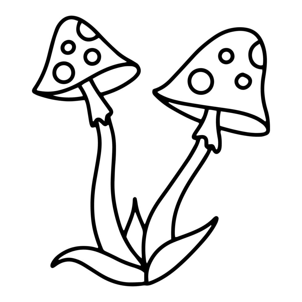 Two fly agaric vector isolated linear icon in doodle sketch style. Amanita muscaria poisonous mushroom