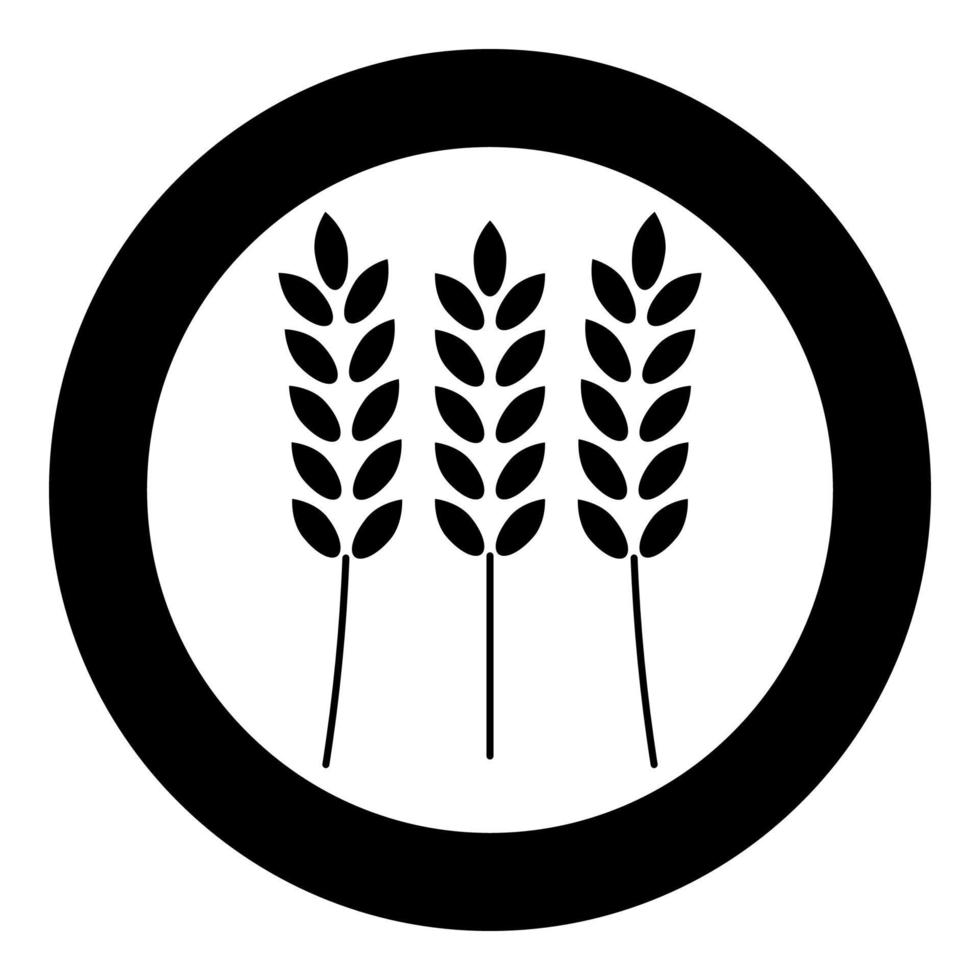 Wheat icon black color in circle vector