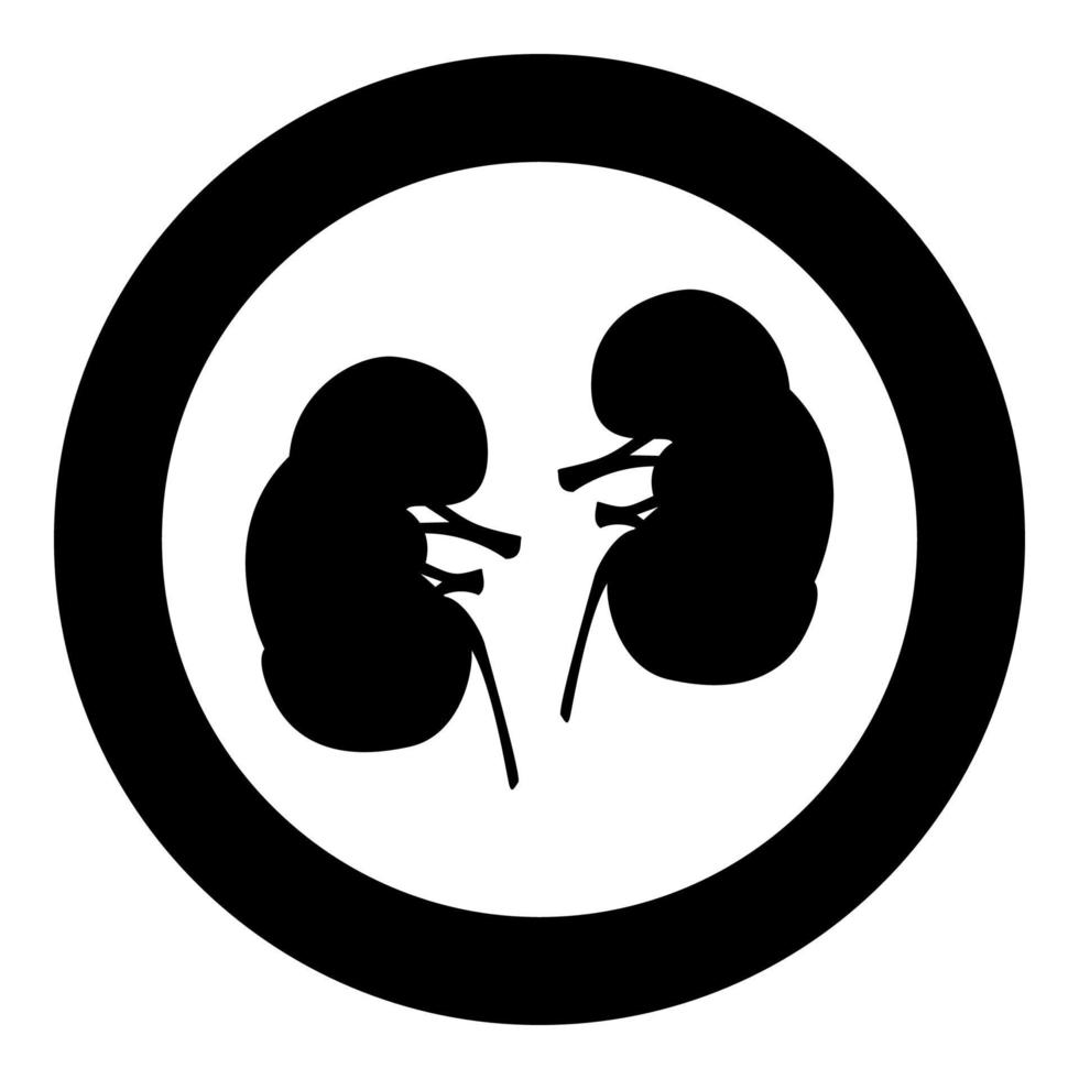 Kidney the black color icon in circle or round vector
