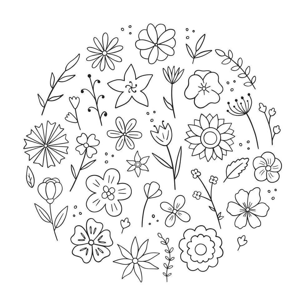 conjunto dibujado a mano de flores y ramas garabato. elementos florales y herbales. En estilo boceto. ilustración vectorial aislado sobre fondo blanco. vector