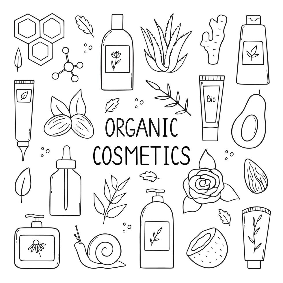 Hand drawn set of organic cosmetics doodle. Natural ingredients, herbs in sketch style. Natural products. Cream, mask, shampoo and lotion. Vector illustration isolated on white background.