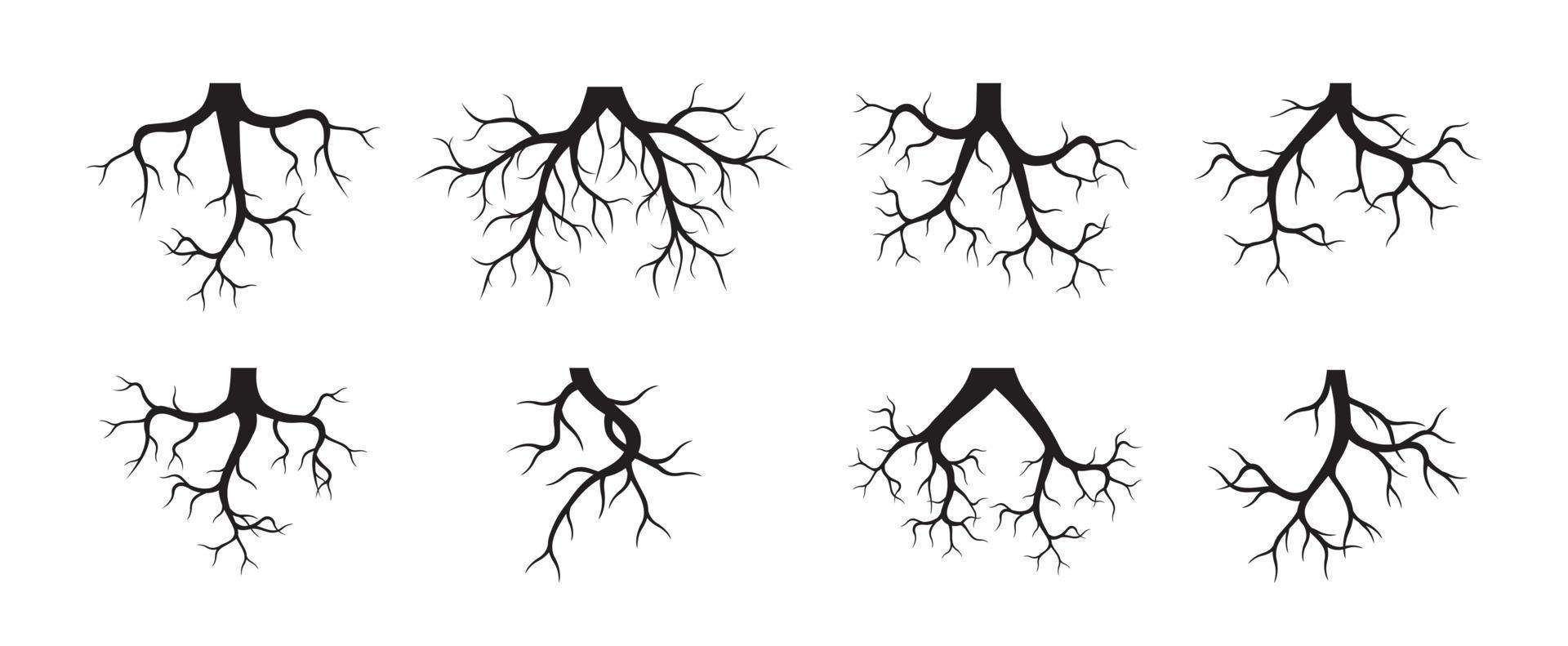 Set of Tree Roots. Vector outline Illustration. Plant in Garden.