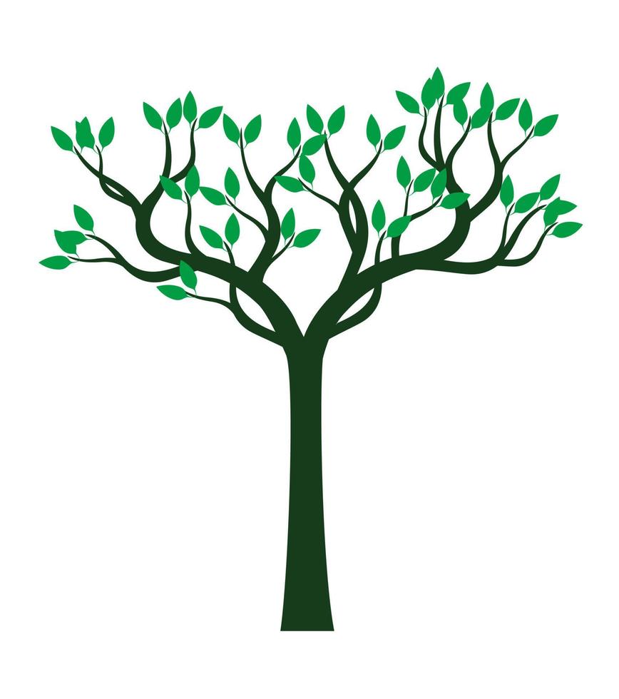 árbol de primavera verde. ilustración vectorial vector