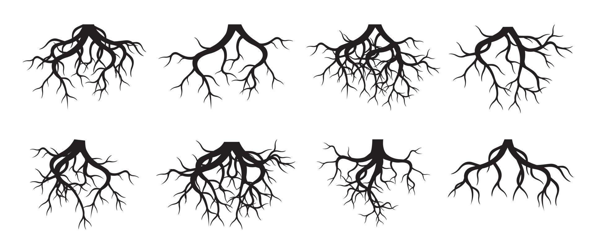 Set of Tree Roots. Vector outline Illustration. Plant in Garden.