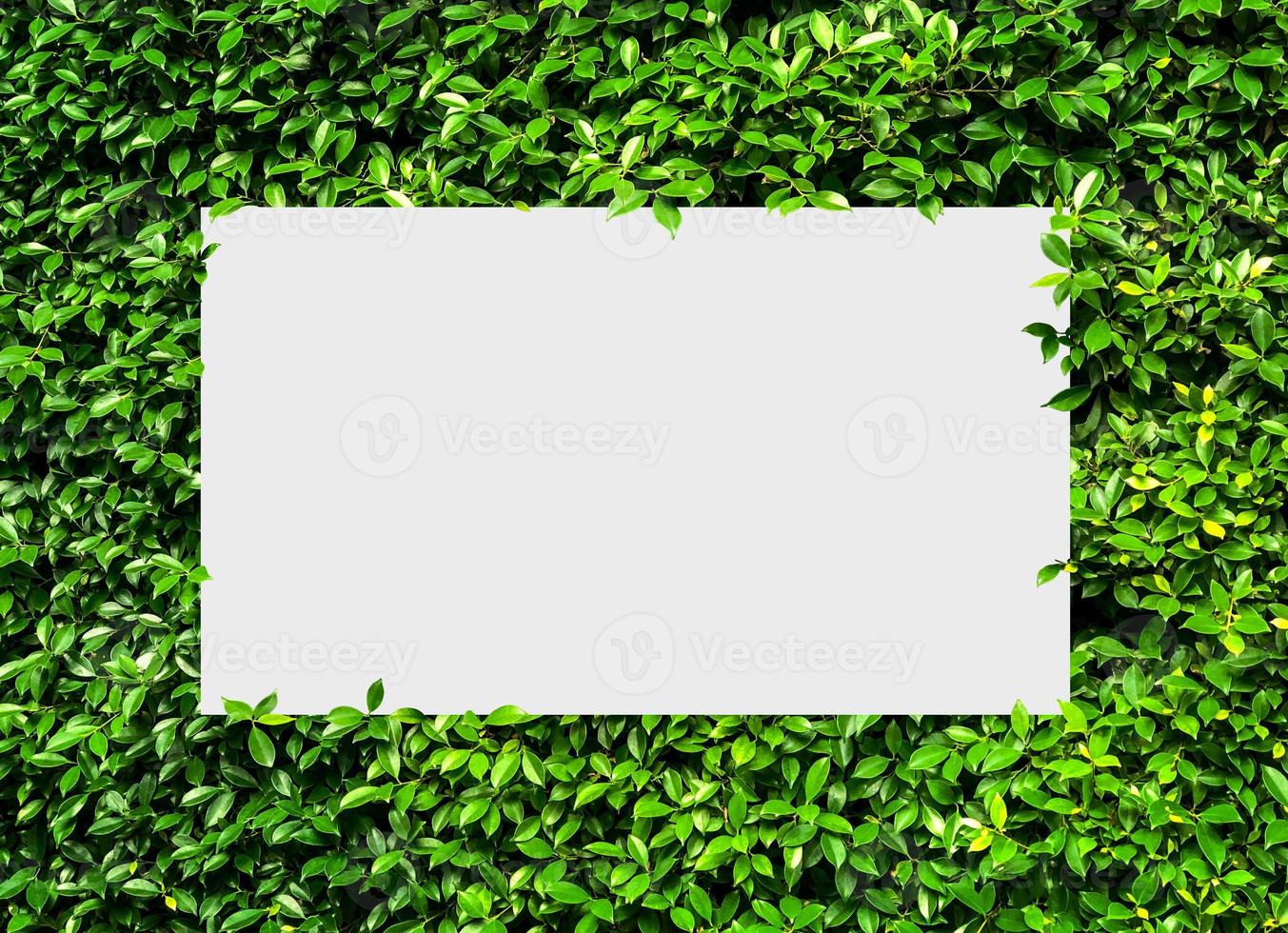 Top view nature concept, Paper frame layout note, Flat lay on green Leaves background photo