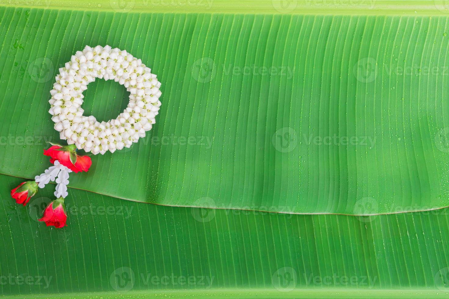 Songkran Festival background with jasmine garland on green banana leaf background photo