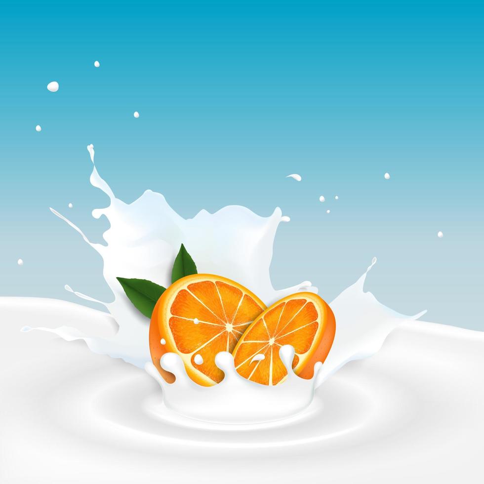 Vector illustration of Milk splash with orange fruit