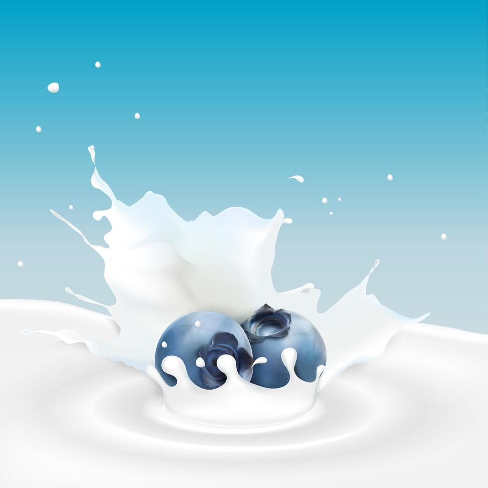 Vector illustration of Milk splash with blueberry