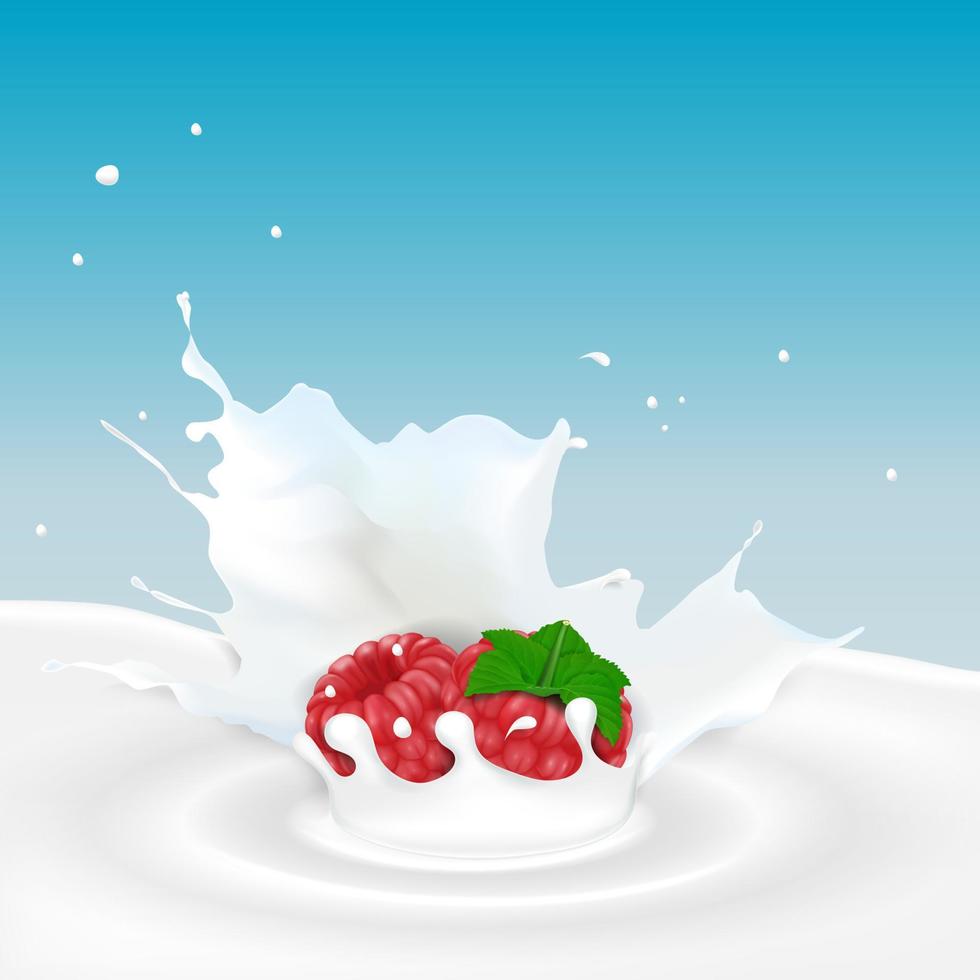 Milk splash with raspberry fruit vector