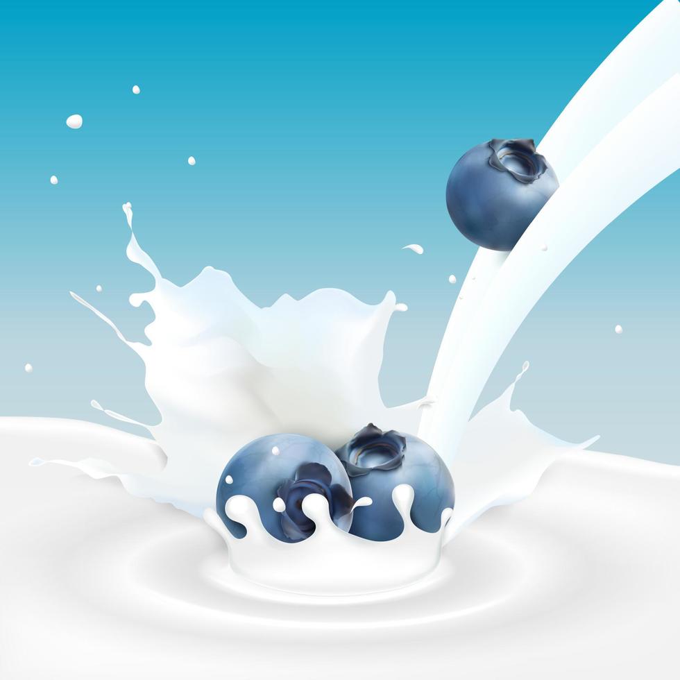Flowing milk splash with blueberries fruits vector